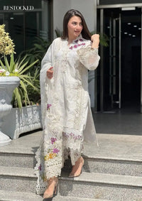 Crimson Luxury Chicken kari Suit