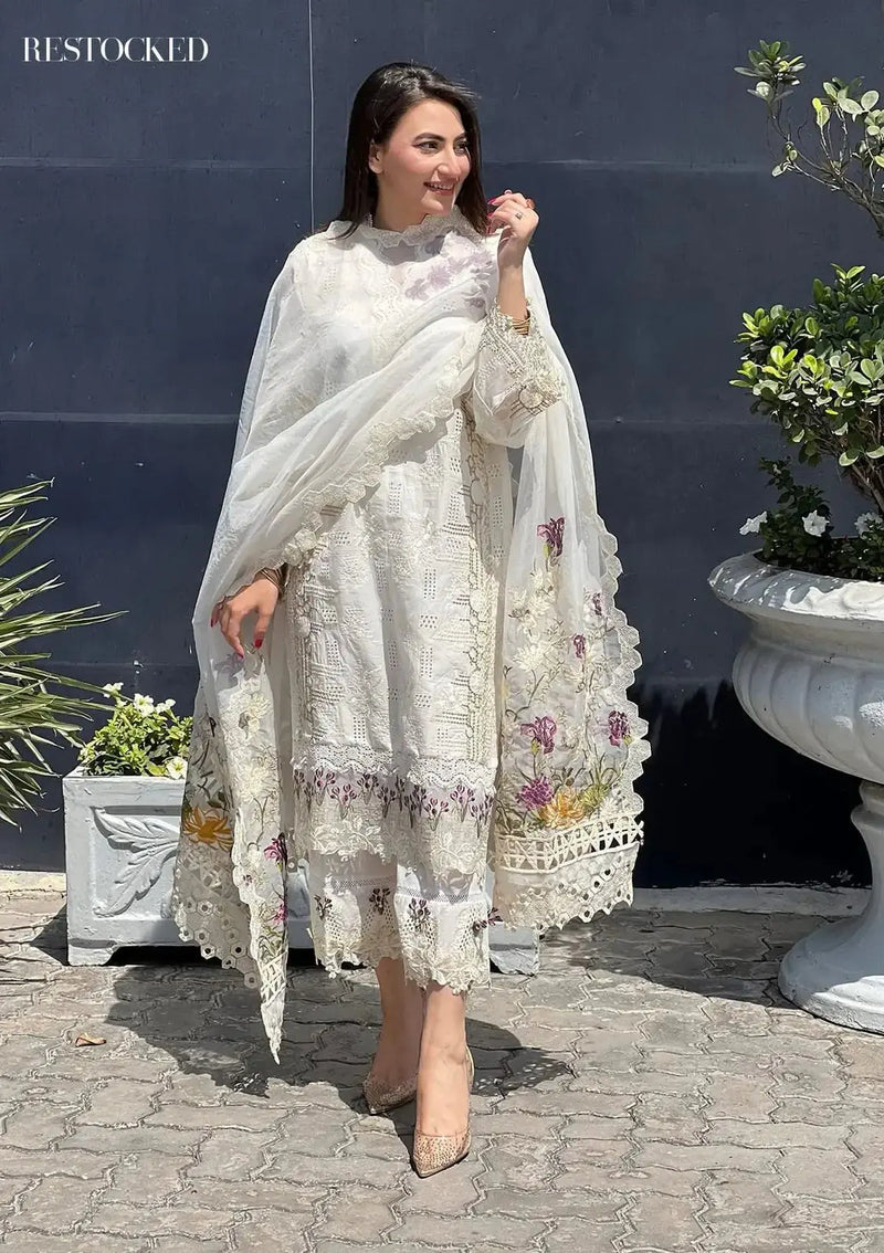 Crimson Luxury Chicken kari Suit