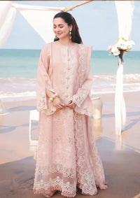 Organza Palo Heavy Suit 8474 - SINGHAR