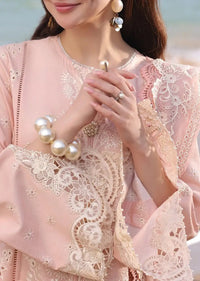 Organza Palo Heavy Suit 8474 - SINGHAR