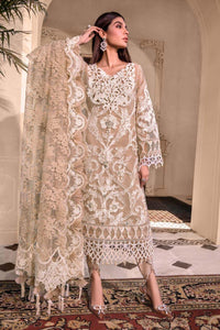 Elegant Organza Embroidered Suit