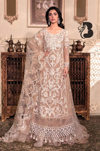 Elegant Organza Embroidered Suit