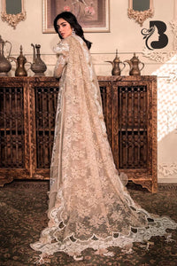 Elegant Organza Embroidered Suit