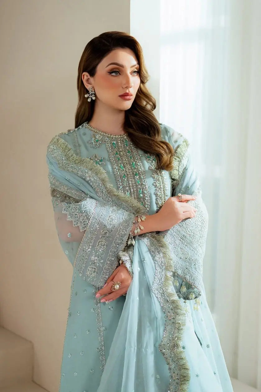 ORGANZA Embroidered Suit